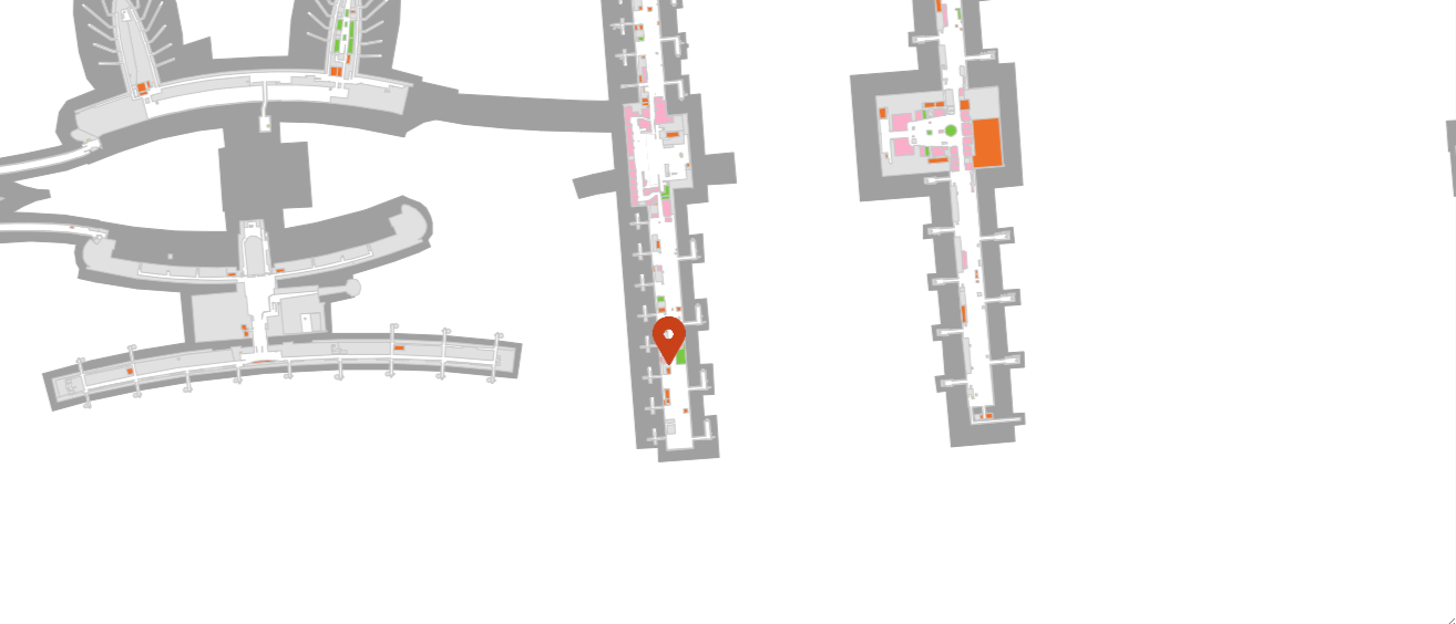 L31 map