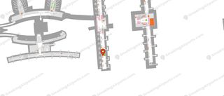 L31 map