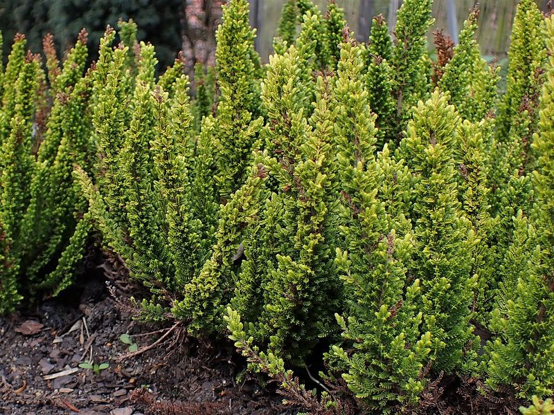 Aéroport de Stockholm-Arlanda