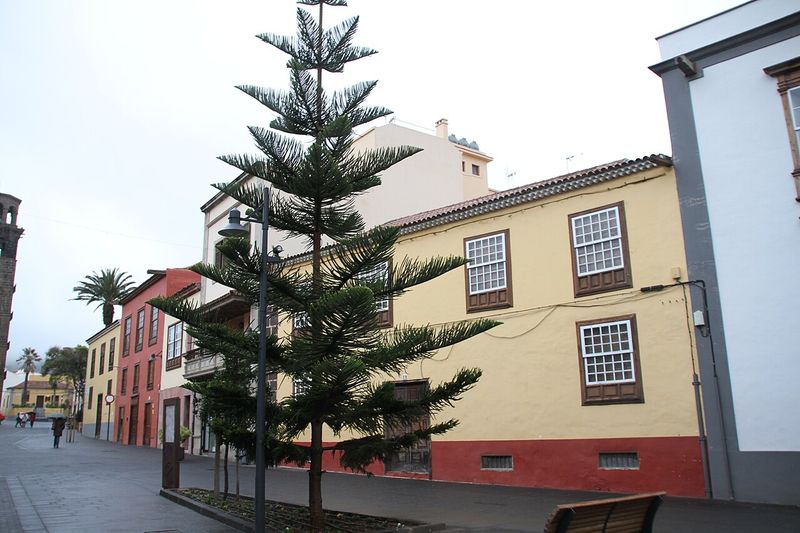 Tenerife North Airport - Los Rodeos