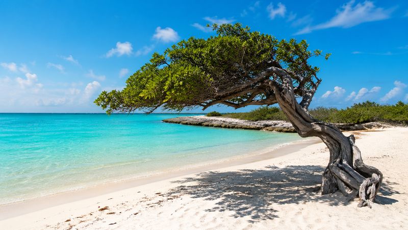 Aruba