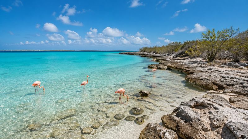 Caribbean Netherlands