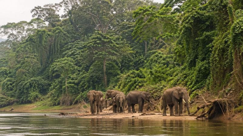 Central African Republic